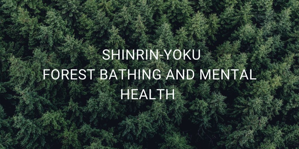 Shinrin-Yoku Explained: What Forest Bathing Can Do For You